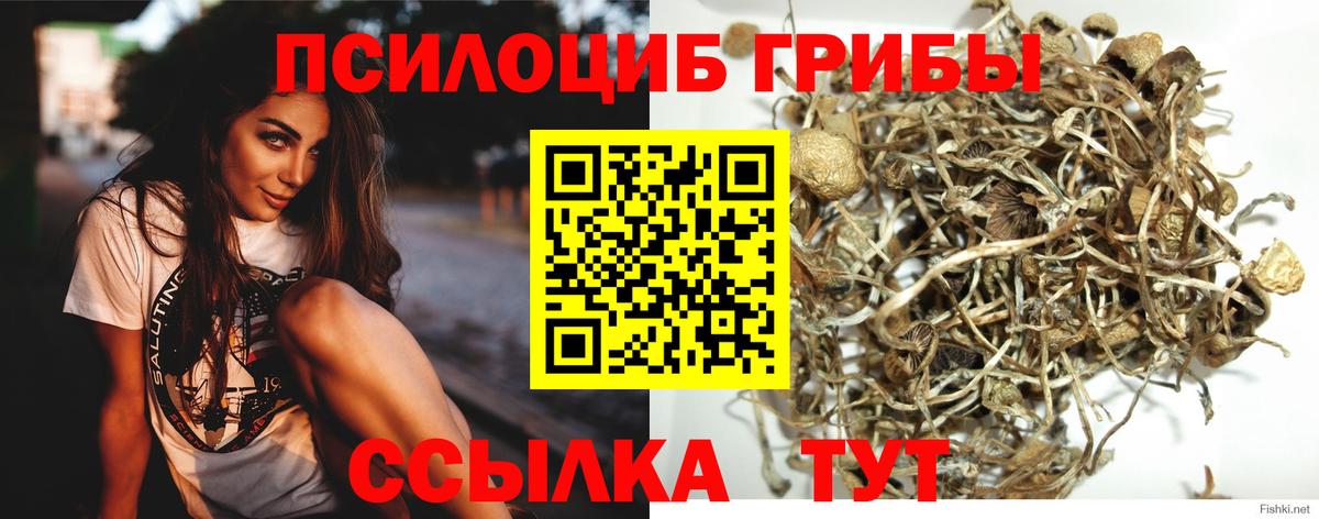 Псилоцибиновые грибы мицелий  Вход с VPN  Вышний Волочёк 